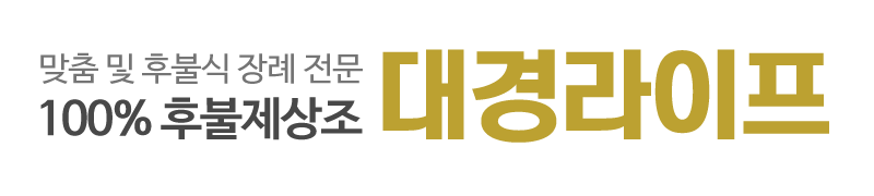 대경라이프_로고