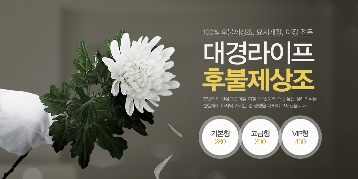 대경라이프_캐러셀