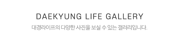 대경라이프_하단제목_내용