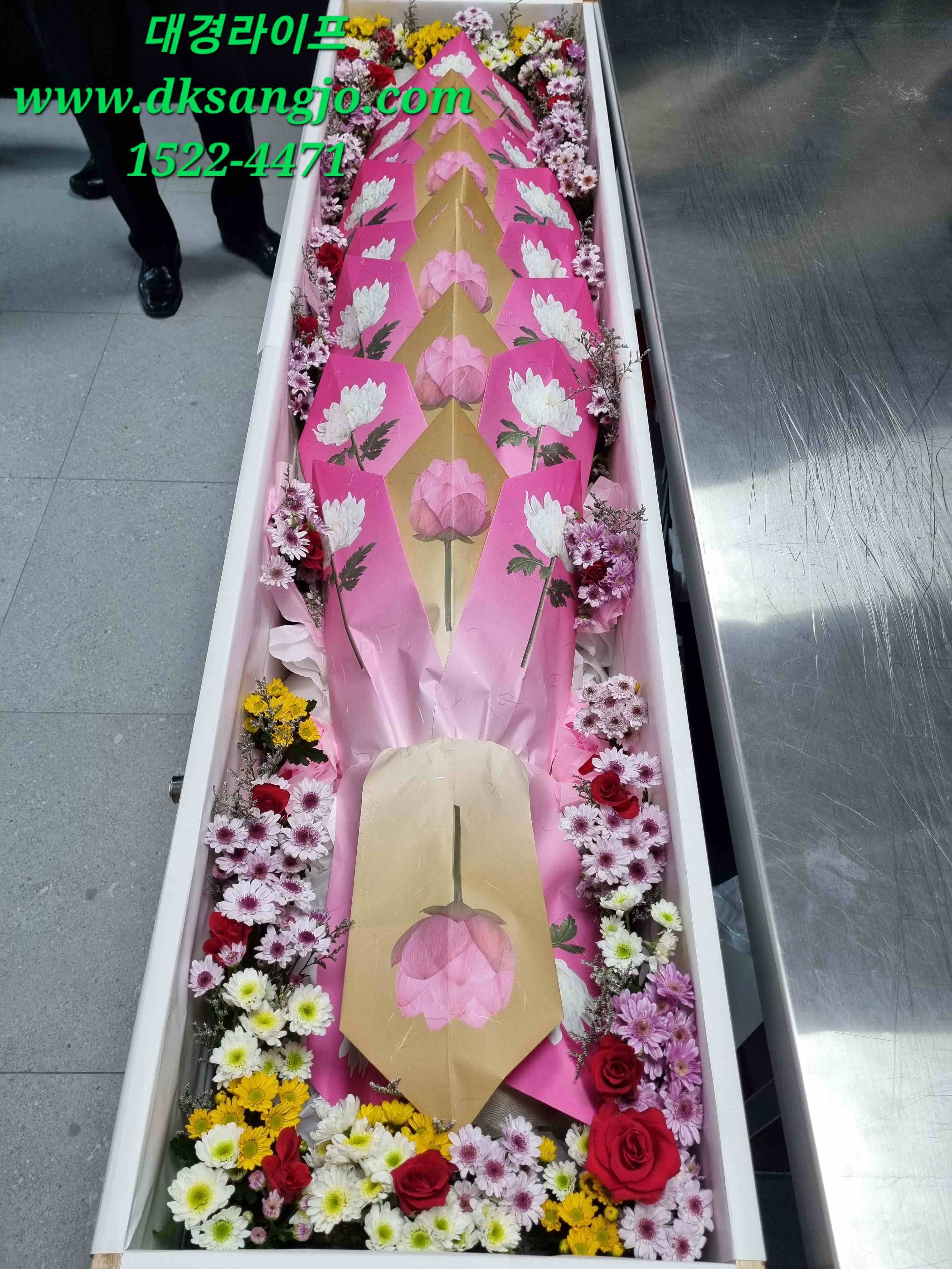 /user/d/dksangjo/editor/2309/6af4715695a19583e74d62f473bc284a_1694222302_9919.jpg 이미지크게보기