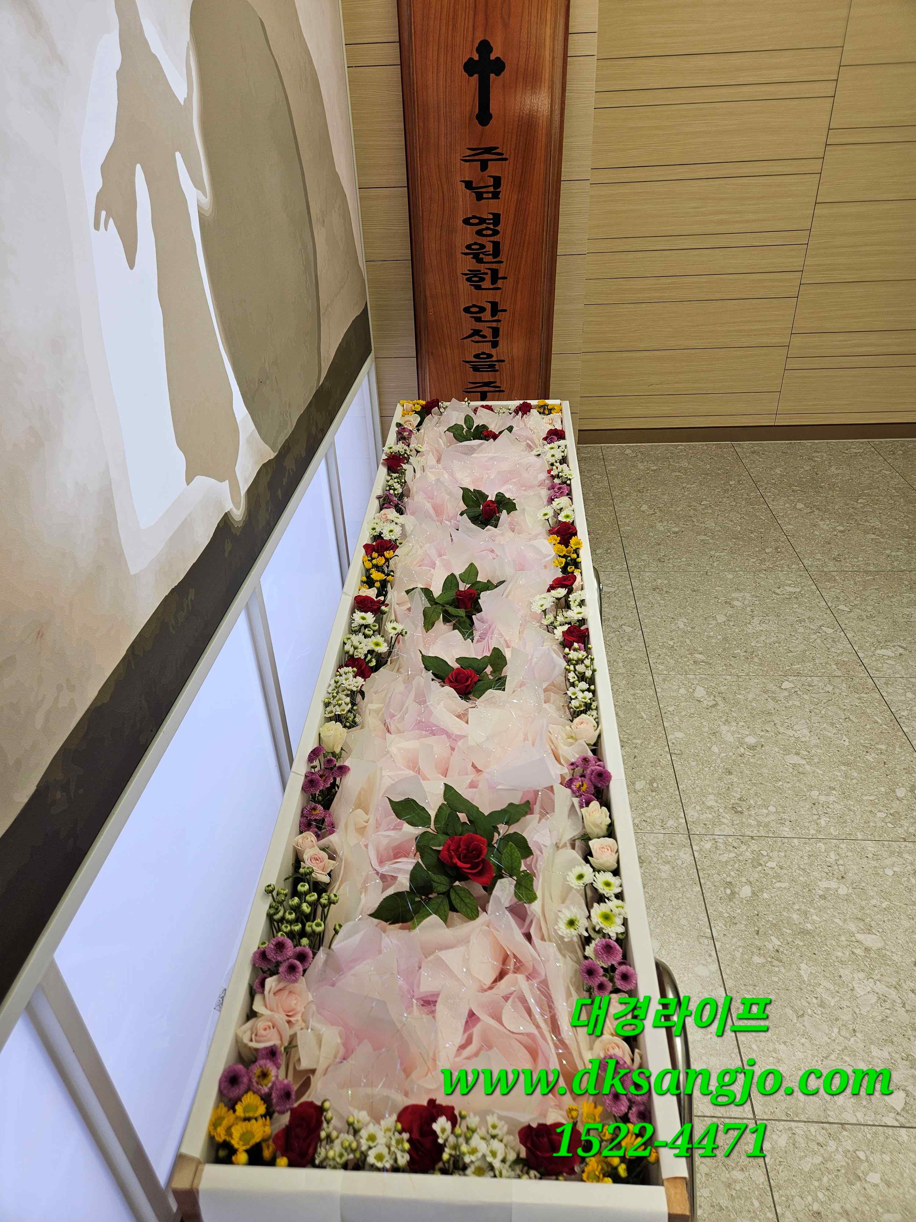 /user/d/dksangjo/editor/2310/d2b71cf6f79a4a177f0d4718d8f18c7e_1696383853_3779.jpg 이미지크게보기