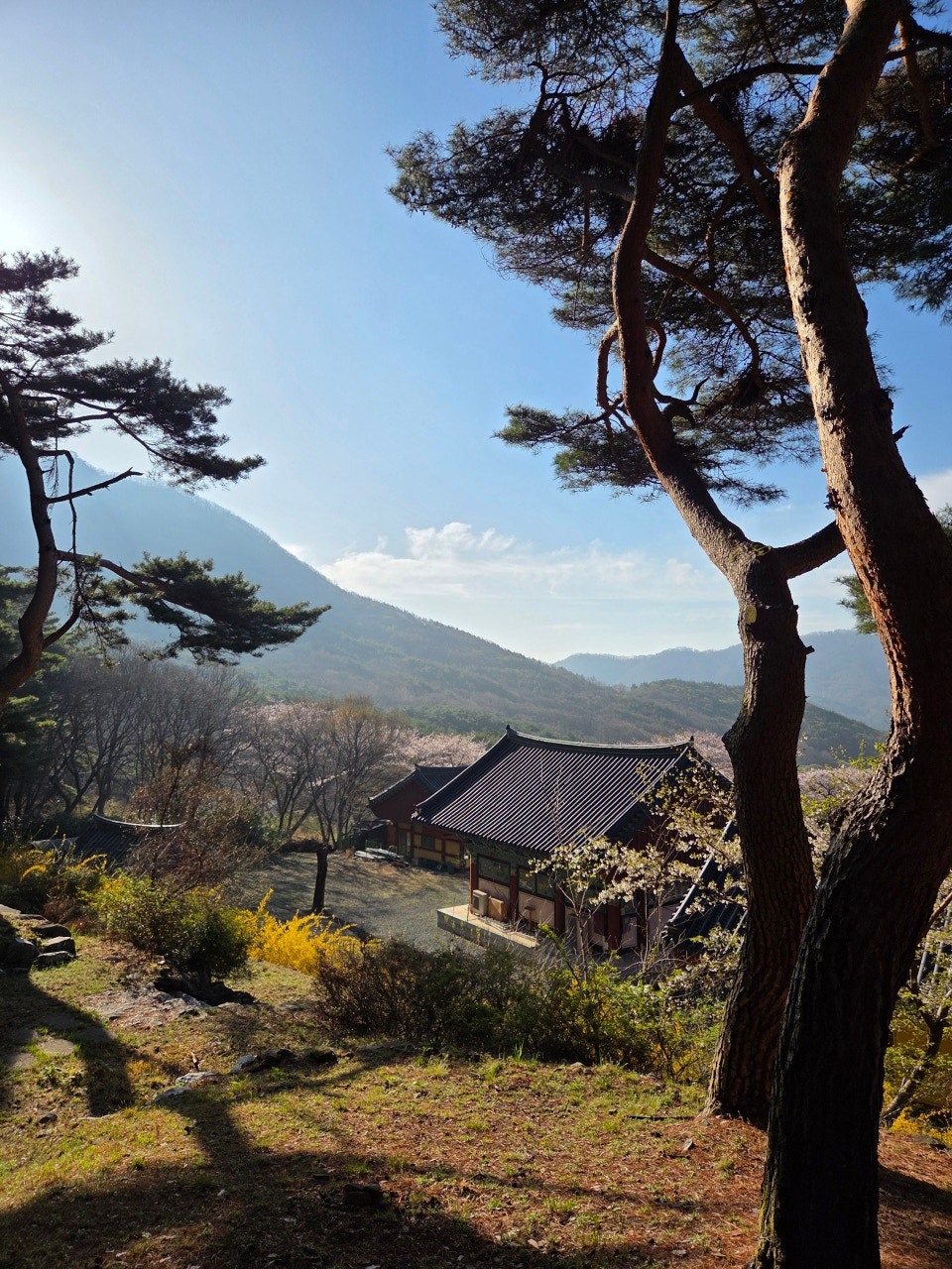 /user/d/dksangjo/editor/2604/4f5565e26b76738f96fbf5c670b982f7_1776397908_3431.jpg 이미지크게보기