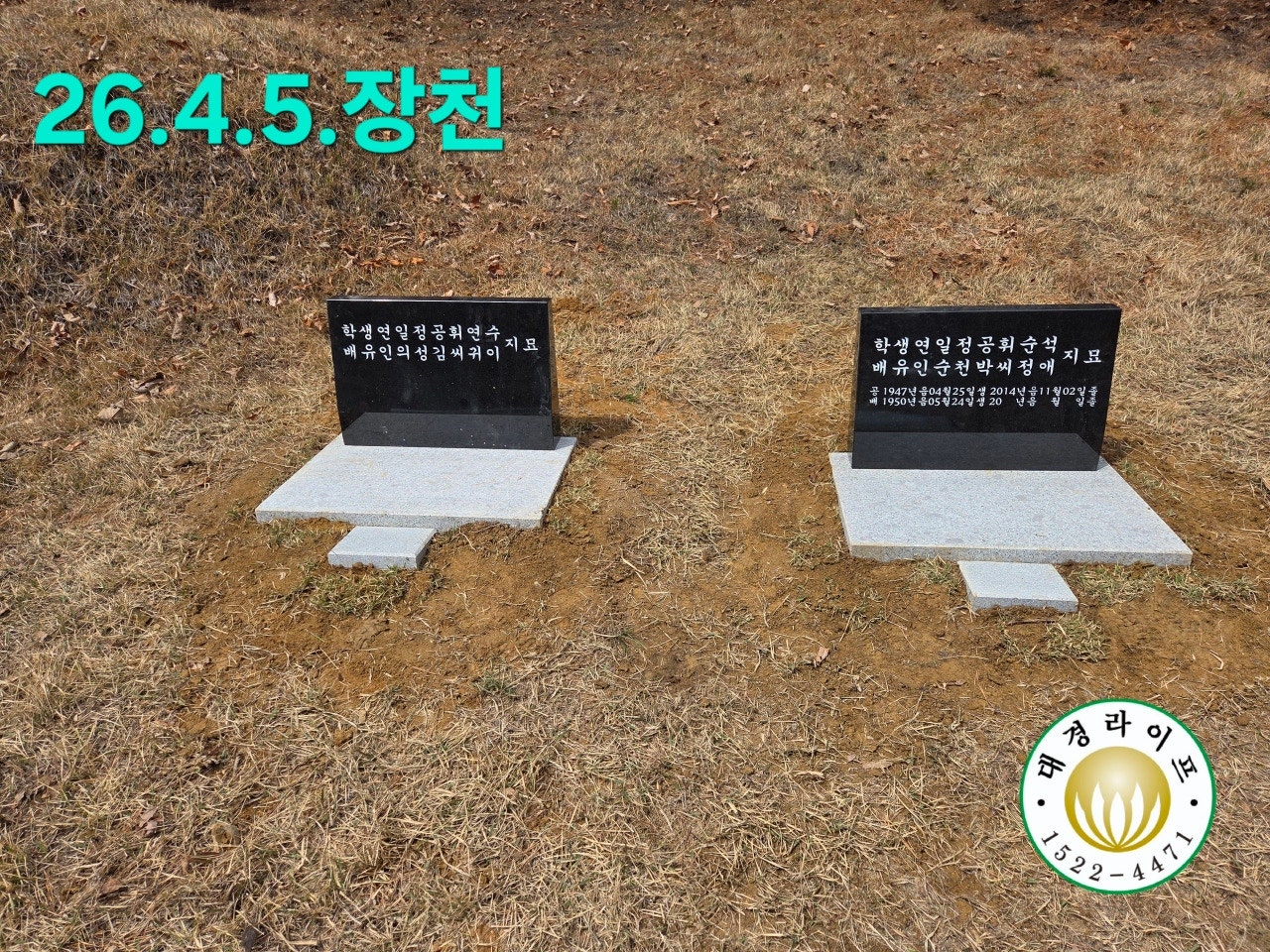 /user/d/dksangjo/editor/2604/4f5565e26b76738f96fbf5c670b982f7_1776397908_6373.jpg 이미지크게보기